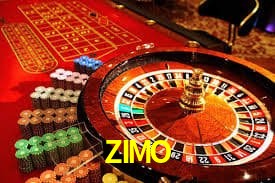 ZIMO Indicadores de vuelo